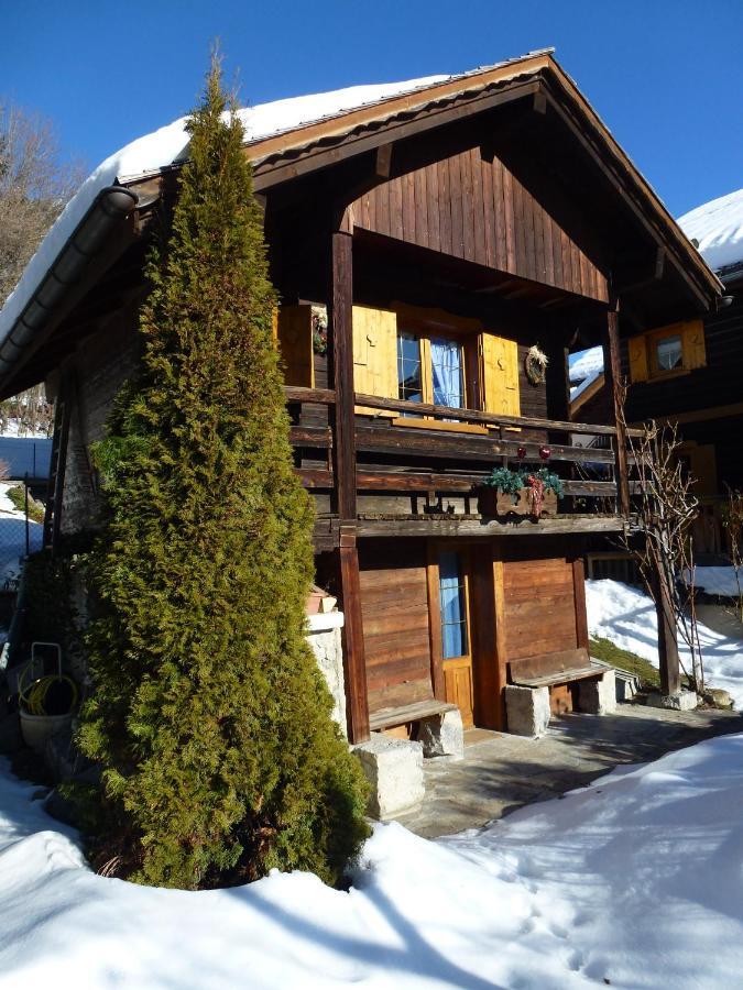 "Chalet Les Aravis" Chalet Et Appartements Le Grand-Bornand Exterior foto